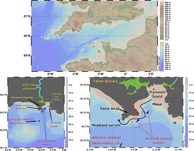 Iodide, iodate & dissolved organic iodine in the temperate coastal ocean